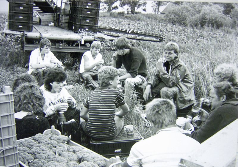 Oogst in Bollingawier, 1987