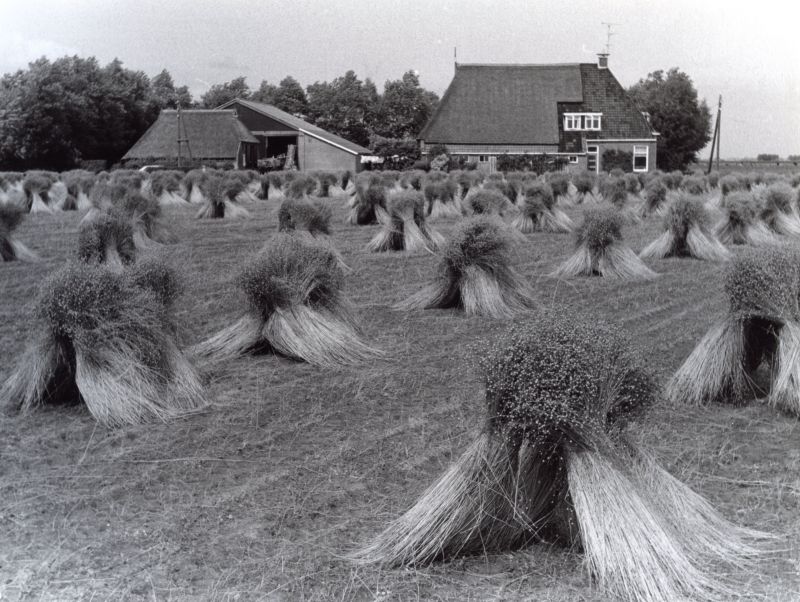 Sippenburch, Ropsterwei 16, foto 1988