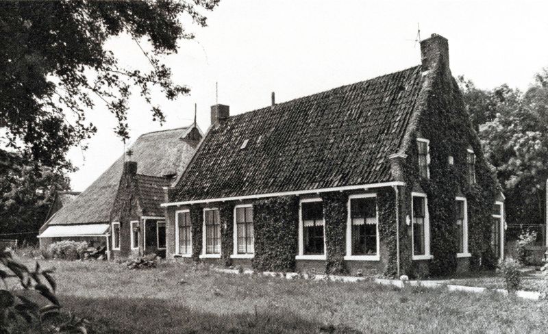 De Terp 1