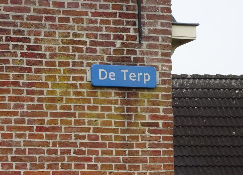 De Terp